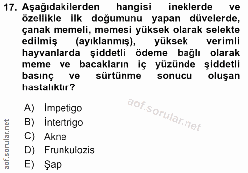 17. soru: Aşağıdakilerden hangisi ineklerde ve özellikle ilk doğumunu yapan düvelerde, çanak memeli, memesi yüksek olarak selek…