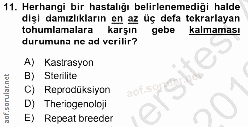 11. soru: Herhangi bir hastalığı belirlenemediği halde dişi damızlıkların en az üç defa tekrarlayan tohumlamalara karşın gebe k…