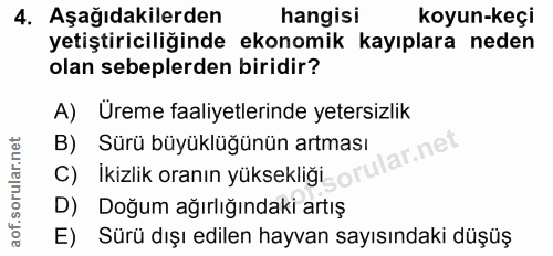 4. soru: Aşağıdakilerden hangisi koyun-keçi yetiştiriciliğinde ekonomik kayıplara neden olan sebeplerden biridir? A) Üreme faa…