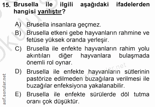 15. soru: Brusella ile ilgili aşağıdaki ifadelerden hangisi yanlıştır? A) Brusella insanlara geçmez. Brusella etkeni gebe hayva…