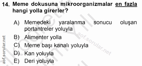 14. soru: Meme dokusuna mikroorganizmalar en fazla hangi yolla girerler? A) Memedeki yaralanma sonucu oluşan portantreler yoluy…