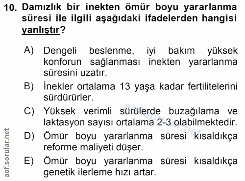 10. soru: Damızlık bir inekten ömür boyu yararlanma süresi ile ilgili aşağıdaki ifadelerden hangisi yanlıştır? A) Dengeli besle…