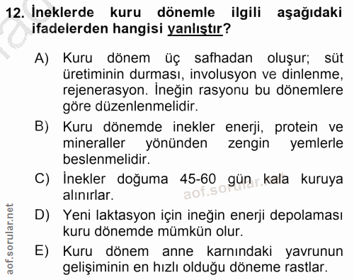 12. soru: Ineklerde kuru dönemle ilgili aşağıdaki ifadelerden hangisi yanlıştır? A) Kuru dönem üç safhadan oluşur; süt üretimin…