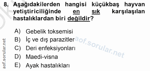 8. soru: Aşağıdakilerden hangisi küçükbaş hayvan yetiştiriciliğinde en sIk karşılaşılan hastalıklardan biri değildir? B) Iç ve…