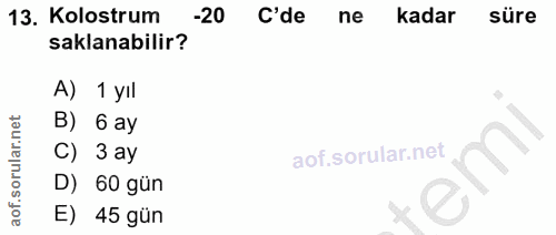 13. soru: Kolostrum -20 C'de ne kadar süre saklanabilir? A) 1 yıl B) 6 ay C) 3 ay D) 60 gün E) 45 gün