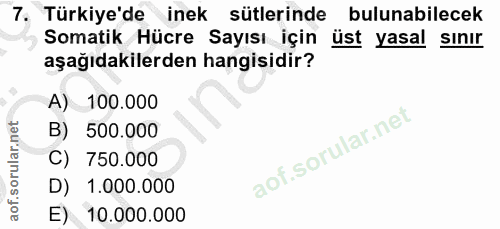 7. soru: Türkiye'de inek sütlerinde bulunabilecek Somatik Hücre Sayısı için üst yasal sınır aşağıdakilerden hangisidir? A) 100…