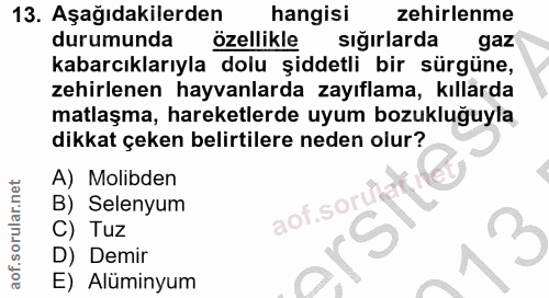 13. soru: Aşağıdakilerden hangisi zehirlenme durumunda özellikle sığırlarda gaz kabarcıklarıyla dolu şiddetli bir sürgüne, zehi…