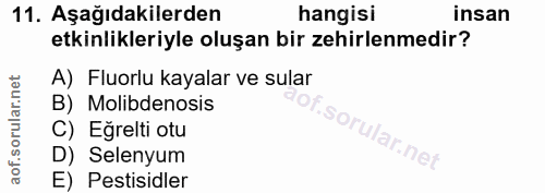 11. soru: Aşağıdakilerden hangisi insan etkinlikleriyle oluşan bir zehirlenmedir? A) Fluorlu kayalar ve sular B) Molibdenosis C…