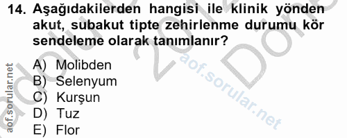14. soru: Aşağıdakilerden hangisi ile klinik yönden akut, subakut tipte zehirlenme durumu kör sendeleme olarak tanımlanır? A) M…