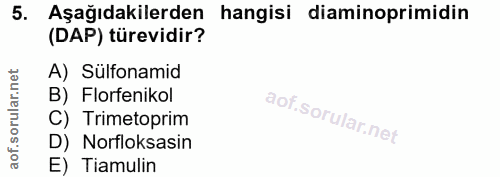 5. soru: Aşağıdakilerden hangisi diaminoprimidin (DAP) türevidir? A) Sülfonamid B) Florfenikol C) Trimetoprim D) Norfloksasin…