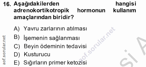 16. soru: Aşağıdakilerden hangisi adrenokortikotropik hormonun kullanım amaçlarından biridir? A) Yavru zarlarının atılması rula…