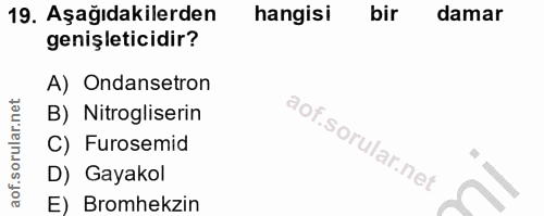 19. soru: Aşağıdakilerden hangisi bir damar genişleticidir? A) Ondansetron B) Nitrogliserin C) Furosemid D) Gayakol E) Bromhekzin
