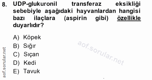 8. soru: UDP-glukuronil transferaz eksikliği sebebiyle aşağıdaki hayvanlardan hangisi bazı ilaçlara (aspirin gibi) özellikle d…