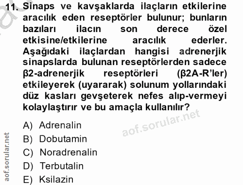 11. soru: Sinaps ve kavşaklarda ilaçların etkilerine aracılık eden reseptörler bulunur; bunların bazıları ilacın son derece öze…