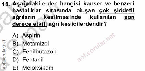 13. soru: Aşağıdakilerden hangisi kanser ve benzeri hastalıklar sırasında oluşan çok şiddetli agriların kesilmesinde kullanılan…