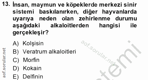 13. soru: Insan, maymun ve köpeklerde merkezi sinir sistemi baskılanırken, diğer hayvanlarda uyarıya neden olan zehirlenme duru…