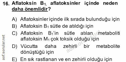 16. soru: Aflatoksin B1, aflatoksinler içinde neden daha önemlidir? A) Aflatoksinleriçinde ilk sırada bulunduğu için B) Aflatok…