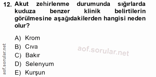 12. soru: Akut zehirlenme durumunda sığırlarda kuduza benzer klinik belirtilerin görülmesine aşağıdakilerden hangisi neden olur…