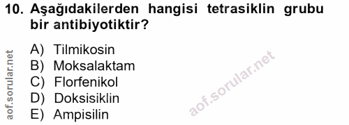 10. soru: Aşağıdakilerden hangisi tetrasiklin grubu bir antibiyotiktir? A) Tilmikosin B) Moksalaktam C) Florfenikol D) Doksisik…