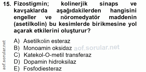 15. soru: Fizostigmin; kolinerjik sinaps ve kavşaklarda aşağıdakilerden hangisini engeller ve nöromedyatör maddenin (asetilkoli…