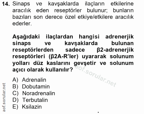 14. soru: Sinaps ve kavşaklarda ilaçların etkilerine aracılık eden reseptörler bulunur; bunların bazıları son derece özel etkiy…
