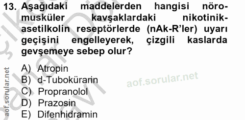 13. soru: Aşağıdaki maddelerden hangisi nöro- musküler kavşaklardaki nikotinik- asetilkolin reseptörlerde (nAk-R'ler) uyarı geç…