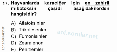 17. soru: Hayvanlarda karaciğer için için en zehirli mikotoksin çeşidi aşağıdakilerden hangisidir? A) Aflatoksinler B) Trikotes…