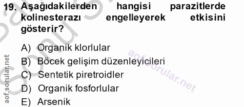 19. soru: Aşağıdakilerden hangisi parazitlerde kolinesterazı engelleyerek etkisini gösterir? A) Organik klorlular orular.net B)…