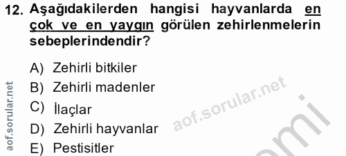 12. soru: Aşağıdakilerden hangisi hayvanlarda en çok ve en yaygın görülen zehirlenmelerin sebeplerindendir? A) Zehirli bitkiler…