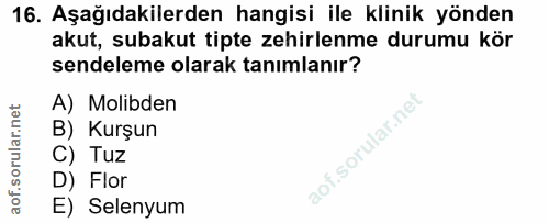 16. soru: Aşağıdakilerden hangisi ile klinik yönden akut, subakut tipte zehirlenme durumu kör sendeleme olarak tanımlanır? A) M…