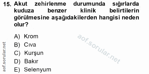 15. soru: Akut zehirlenme durumunda sığırlarda kuduza benzer klinik belirtilerin görülmesine aşağıdakilerden hangisi neden olur…