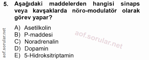 5. soru: Aşağıdaki maddelerden hangisi sinaps veya kavşaklarda nöro-modulatör olarak görev yapar? A) Asetilkolin B) P-maddesi…