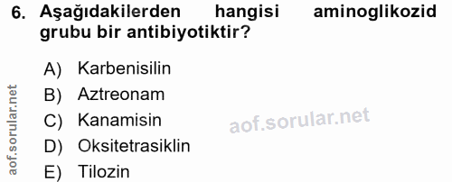 6. soru: Aşağıdakilerden hangisi aminoglikozid grubu bir antibiyotiktir? A) Karbenisilin B) Aztreonam C) Kanamisin D) Oksitetr…