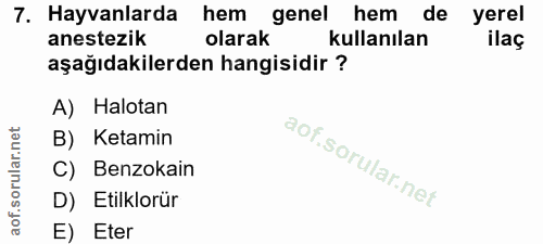 7. soru: Hayvanlarda hem genel hem de yerel anestezik olarak kullanılan ilaç aşağıdakilerden hangisidir ? A) Halotan B) Ketami…