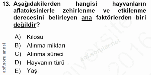 13. soru: Aşağıdakilerden hangisi hayvanların aflatoksinlerle zehirlenme ve etkilenme derecesini belirleyen ana faktörlerden bi…