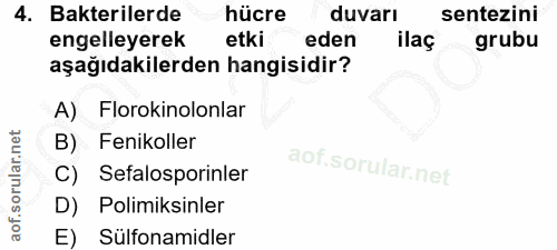 4. soru: Bakterilerde hücre duvarı sentezini engelleyerek etki eden ilaç grubu aşağıdakilerden hangisidir? A) Florokinolonlar…