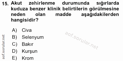 15. soru: Akut zehirlenme durumunda sığırlarda kuduza benzer klinik belirtilerin görülmesine neden olan madde aşağıdakilerden h…