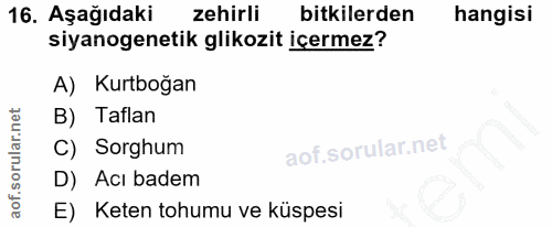 16. soru: Aşağıdaki zehirli bitkilerden hangisi siyanogenetik glikozit içermez? A) Kurtbogan B) Taflan C) Sorghum D) Acı badem…