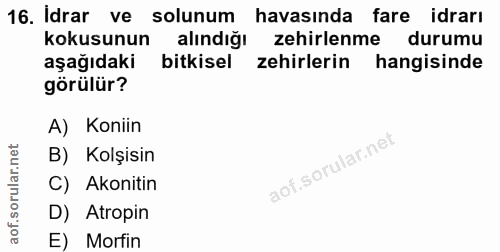 16. soru: Idrar ve solunum havasında fare idrarı kokusunun alındığı zehirlenme durumu aşağıdakı bitkisel zehirlerin hangisinde…