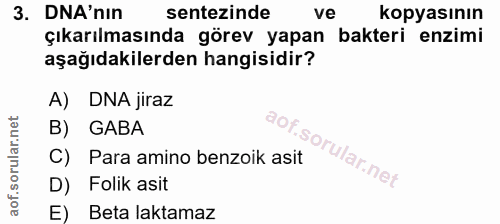3. soru: DNA'nin sentezinde ve kopyasının çıkarılmasında görev yapan bakteri enzimi aşağıdakilerden hangisidir? A) DNA jiraz B…