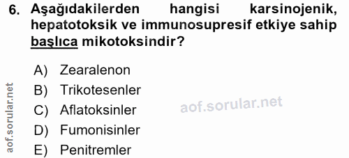 6. soru: Aşağıdakilerden hangisi karsinojenik, hepatotoksik ve immunosupresif etkiye sahip başlıca mikotoksindir? A) Zearaleno…