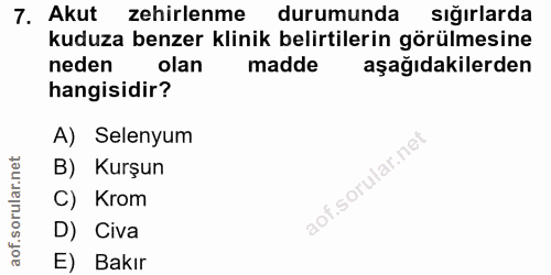7. soru: Akut zehirlenme durumunda sığırlarda kuduza benzer klinik belirtilerin görülmesine neden olan madde aşağıdakilerden h…