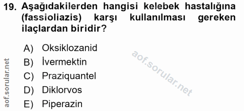 19. soru: Aşağıdakilerden hangisi kelebek hastalığına (fassioliazis) karşı kullanılması gereken ilaçlardan biridir? A) Oksikloz…