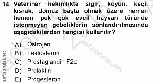14. soru: Veteriner hekimlikte sığır, koyun, keçi, kısrak, domuz başta olmak üzere hemen hemen pek çok evcil hayvan türünde ist…