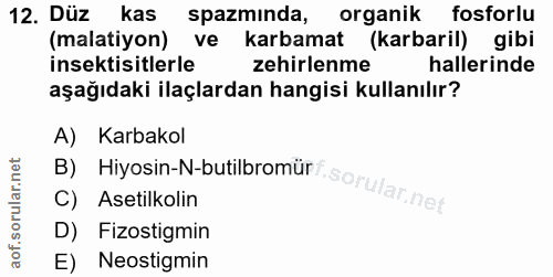 12. soru: Düz kas spazminda, organik fosforlu (malatiyon) ve karbamat (karbaril) gibi insektisitlerle zehirlenme hallerinde aşa…