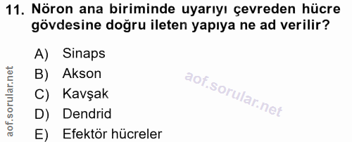 11. soru: Nöron ana biriminde uyarıyı çevreden hücre gövdesine doğru ileten yapıya ne ad verilir? A) Sinaps B) Akson C) Kavşak…