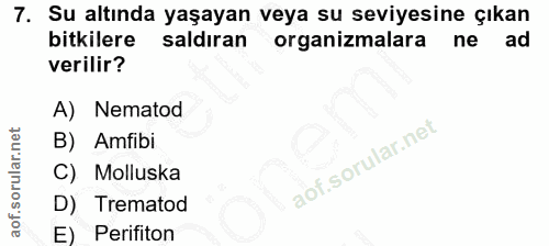 7. soru: Su altında yaşayan veya su seviyesine çıkan bitkilere saldıran organizmalara ad verilir? A) Nematod B) Amfibi Mollusk…