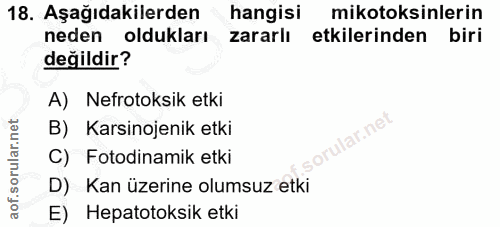 18. soru: Aşağıdakilerden hangisi mikotoksinlerin neden oldukları zararlı etkilerinden biri değildir? A) Nefrotoksik etki B) Ka…