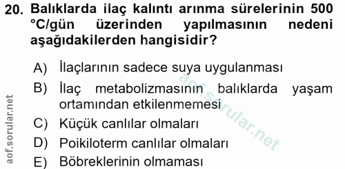 20. soru: Balıklarda ilaç kalıntı arınma sürelerinin 500 °C/gün üzerinden yapılmasının nedeni aşağıdakilerden hangisidir? A) İl…