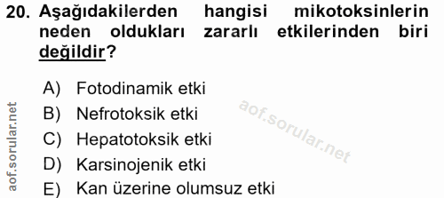20. soru: Aşağıdakilerden hangisi mikotoksinlerin neden oldukları zararlı etkilerinden biri değildir? A) Fotodinamik etki B) Ne…